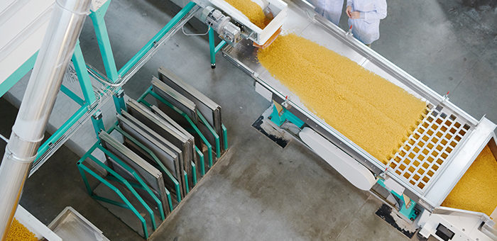 animal health facility with feed on conveyor belt